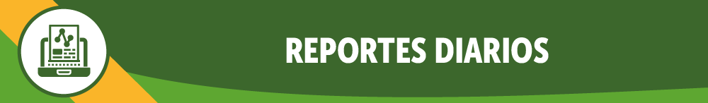 Botón Reportes Diarios 